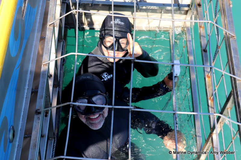 Shark Cage Diving, South Africa
